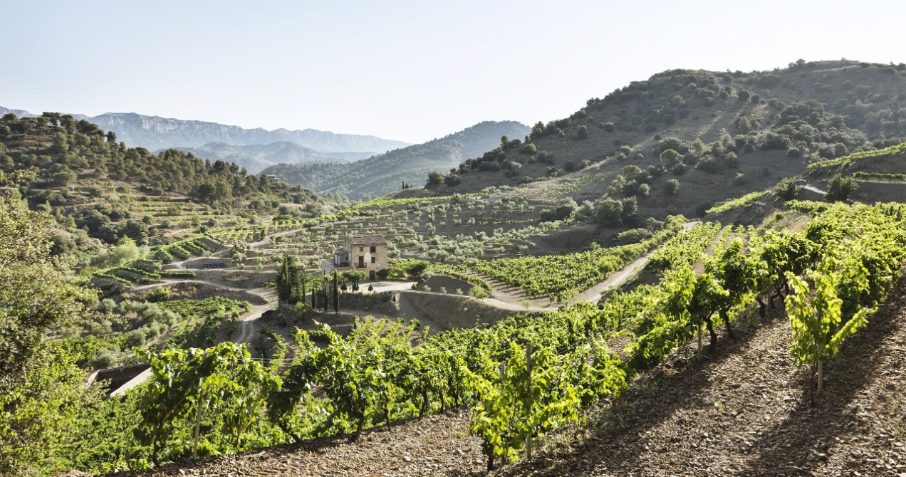 Costers del Priorat