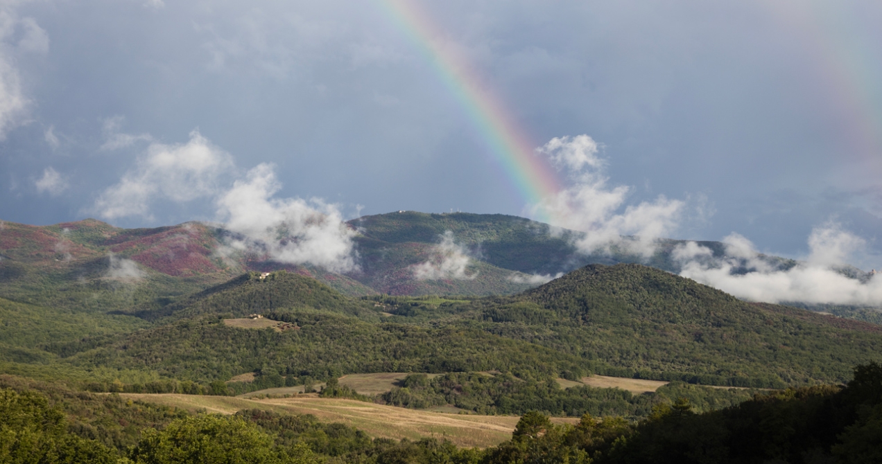 Montepeloso