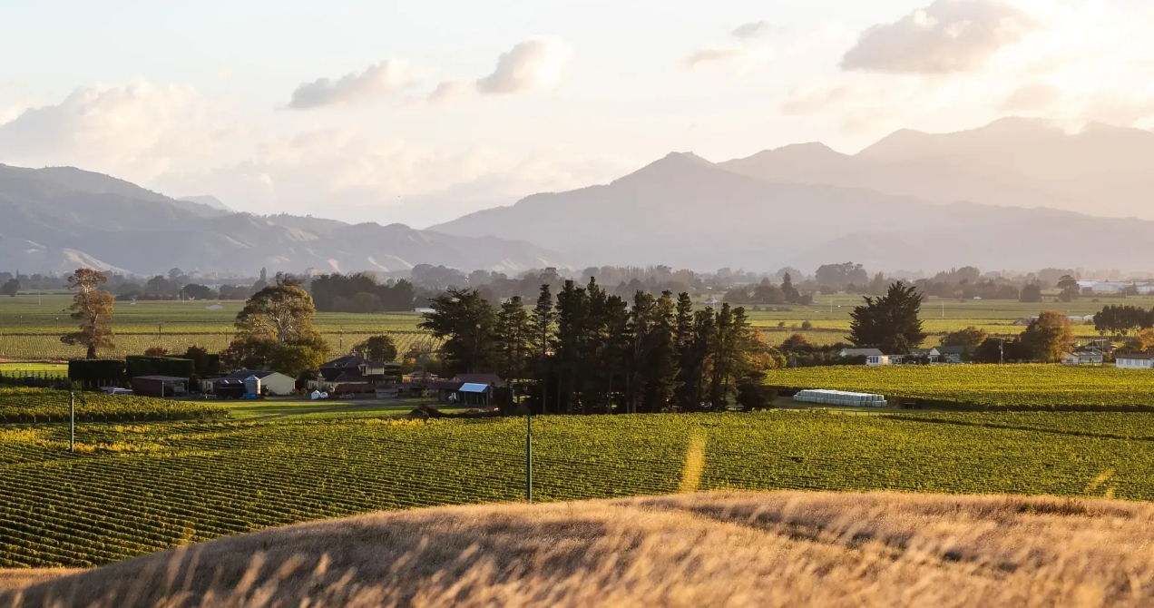 Tiraki Wines