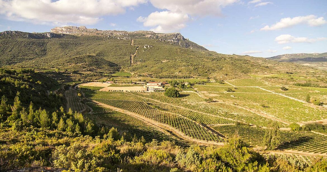 Bodegas Remelluri by Telmo Rodriguez