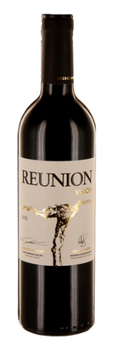Reunion Vision Reunion Vision