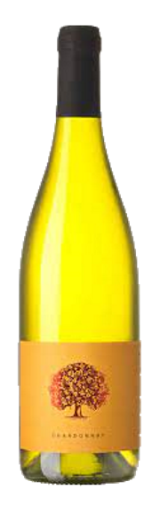 Chardonnay Vipavska Dolina ZGP