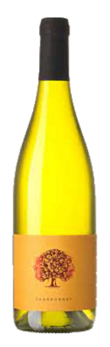Chardonnay Vipavska Dolina ZGP Chardonnay Vipavska Dolina ZGP