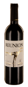 Reunion Vision
