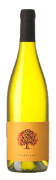 Chardonnay Vipavska Dolina ZGP